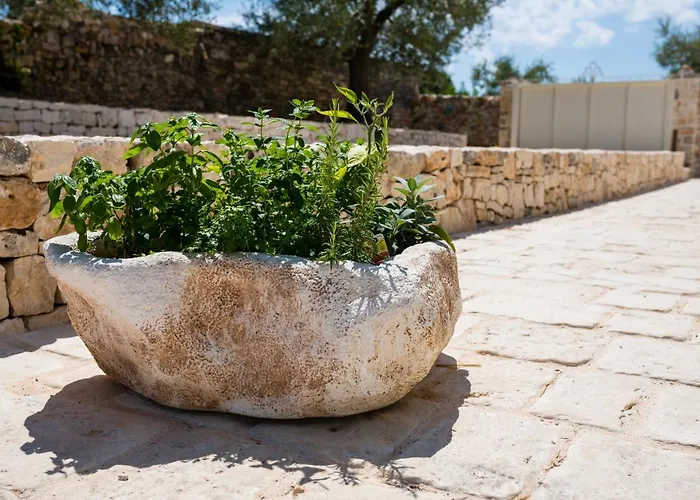 Il Trullo Della Rondinina 度假居 *
