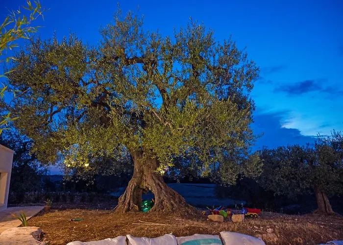 度假居 Il Trullo Della Rondinina