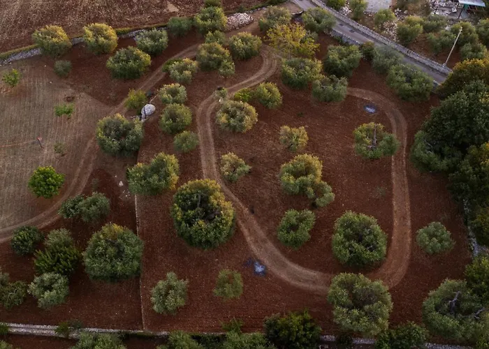 Il Trullo Della Rondinina *